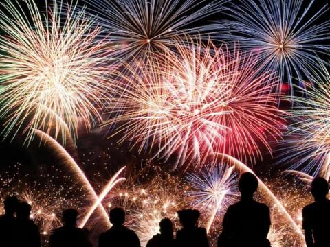 Goulburn North Public School Family Fireworks