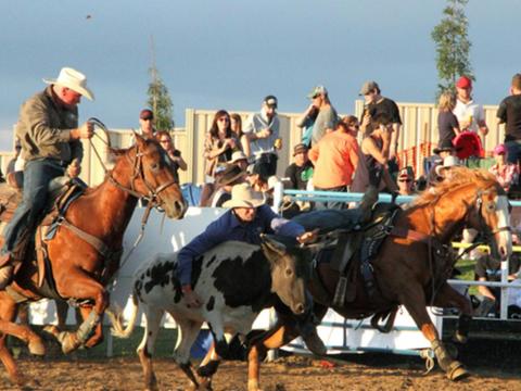 Goulburn Rodeo