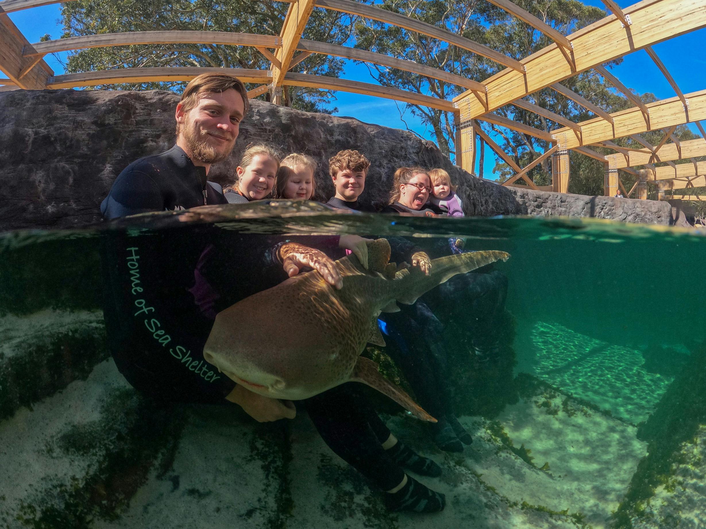 Get up close and personal with our gorgeous Zebra Sharks during an encounter