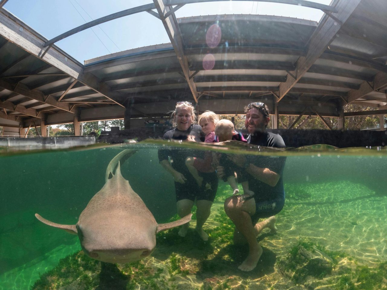 Jump into a wetsuit and get to meet our bigger animals in the deeper parts of the lagoons.
