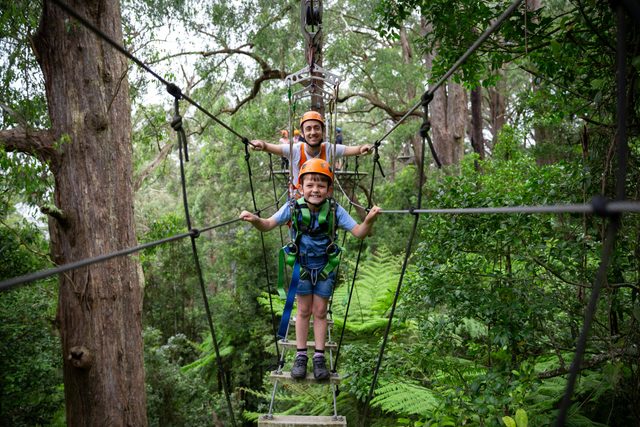 Illawarra Fly Treetop Adventures