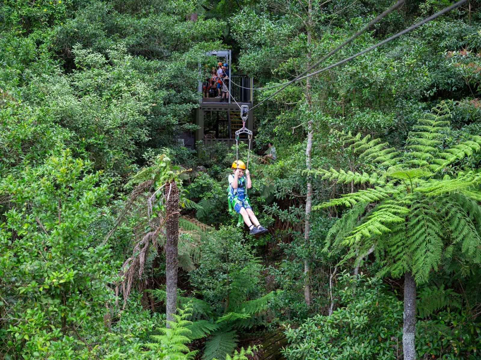 Zipline Tour at Illawarra Fly Treetop Adventures