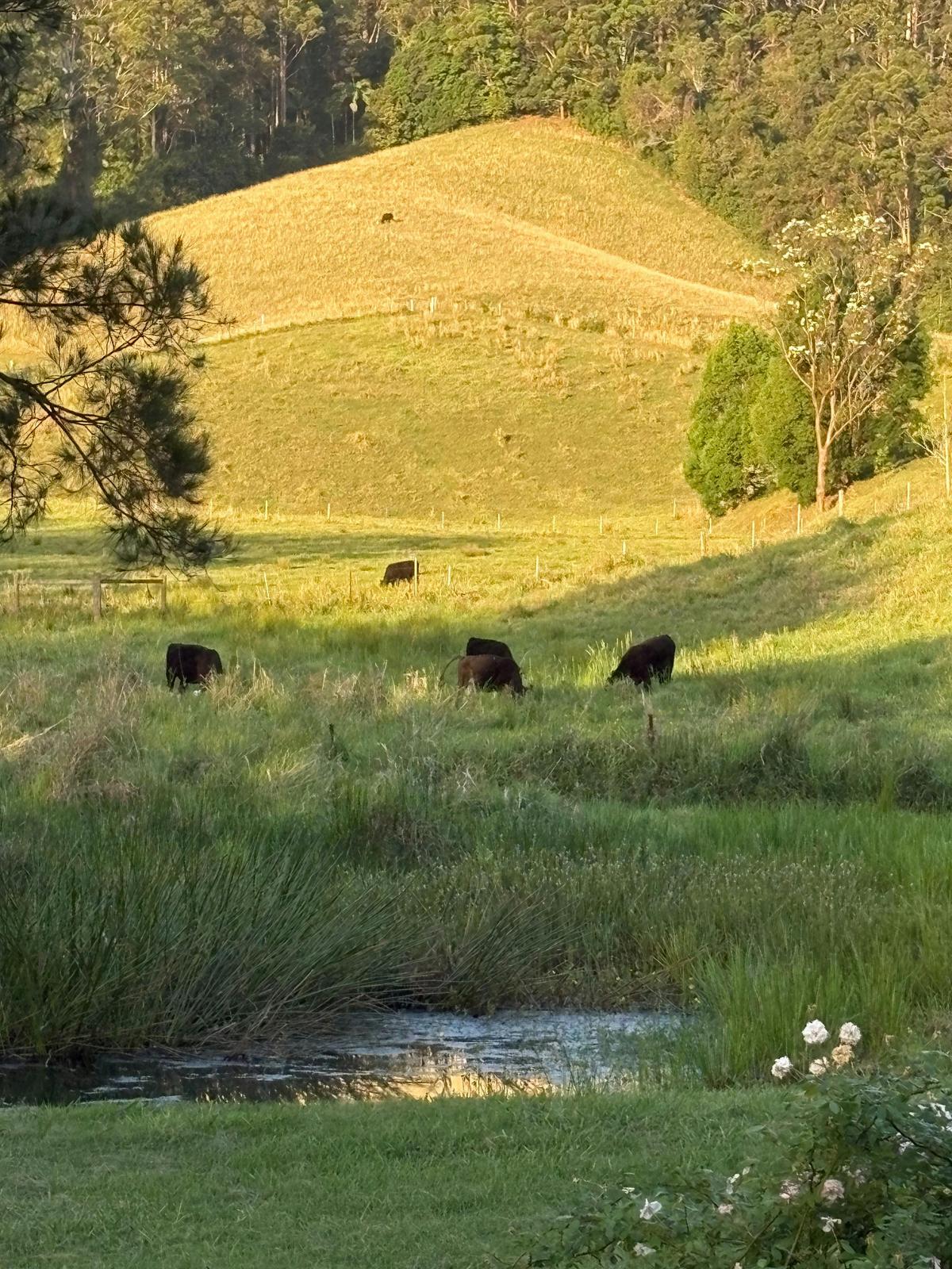 Yoga Retreat