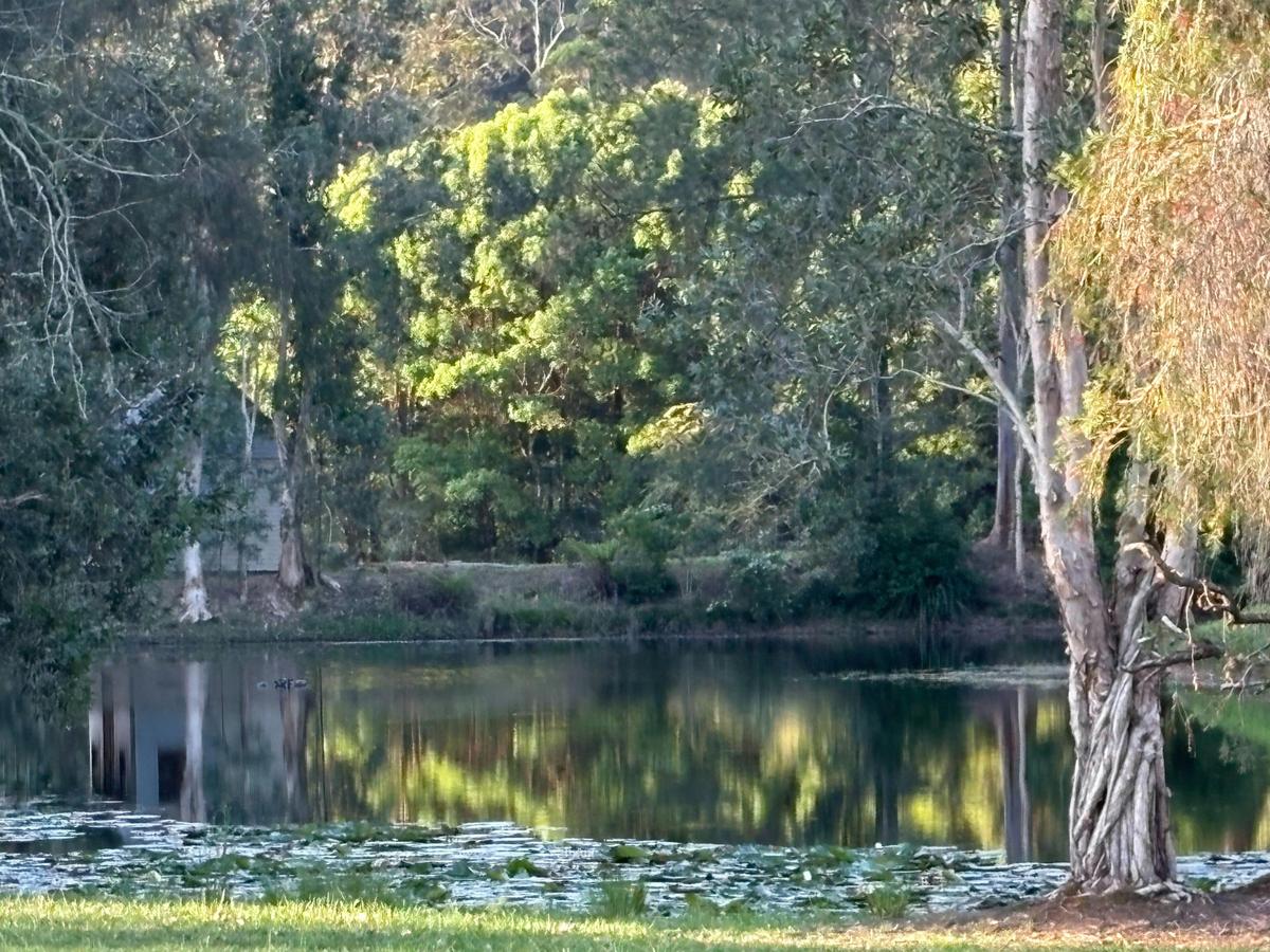 Friday Creek