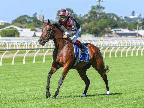Hunter Melanoma Foundation Race Day