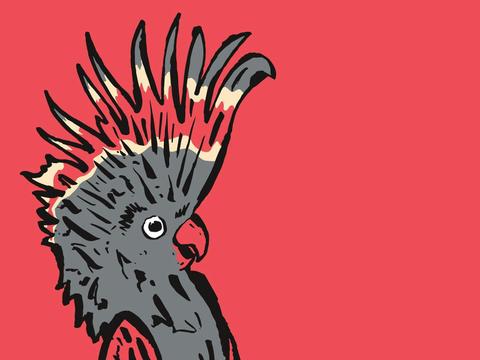 Melbourne International Comedy Festival Roadshow