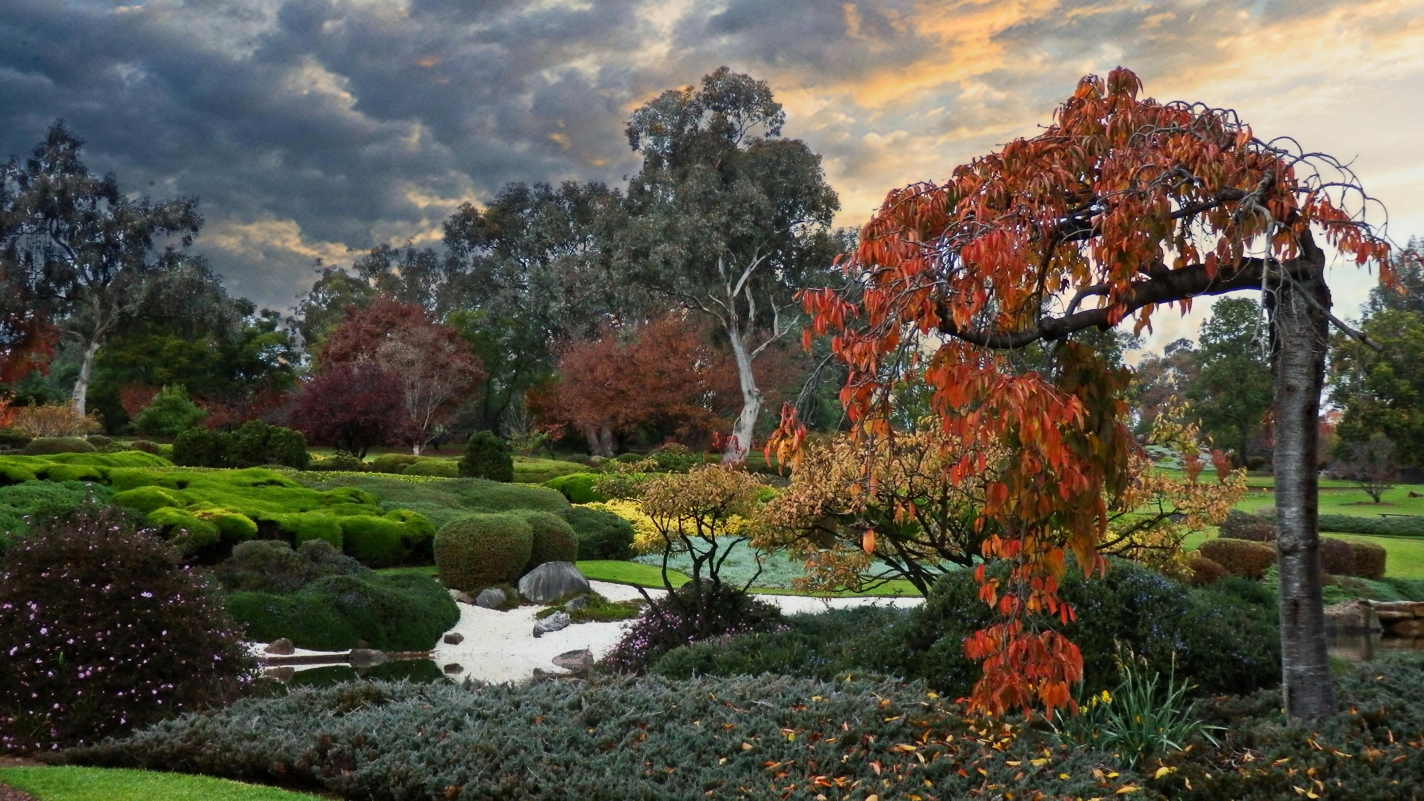 Cowra Japanese Garden in autumn