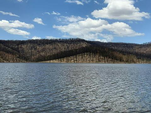 Lake Yarrunga campgrounds: Kangaroo River