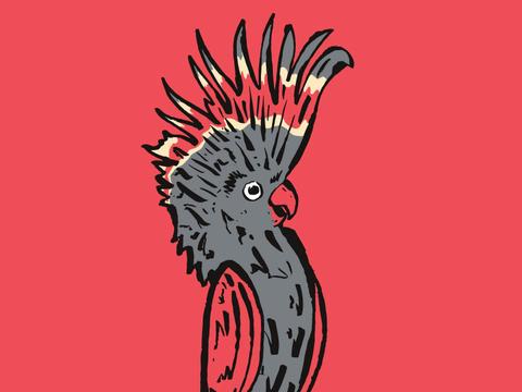 Melbourne International Comedy Festival Roadshow - Bowral