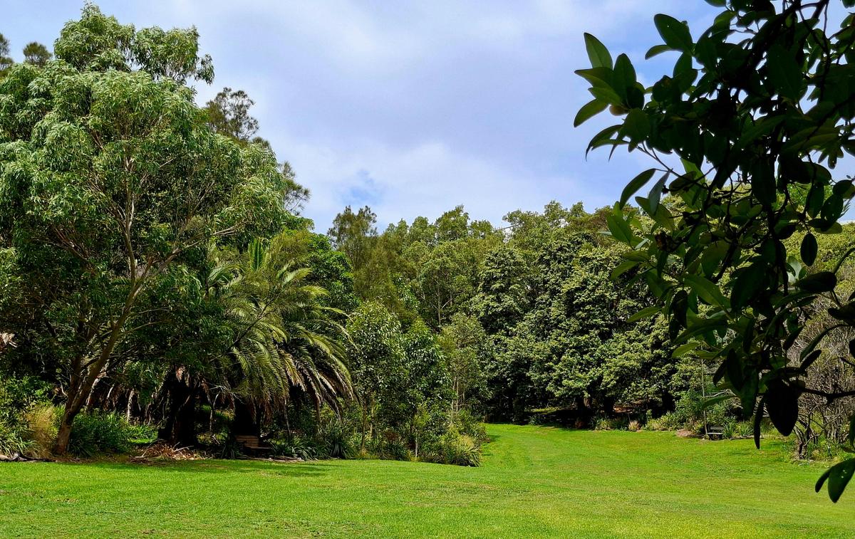 Nesca Park