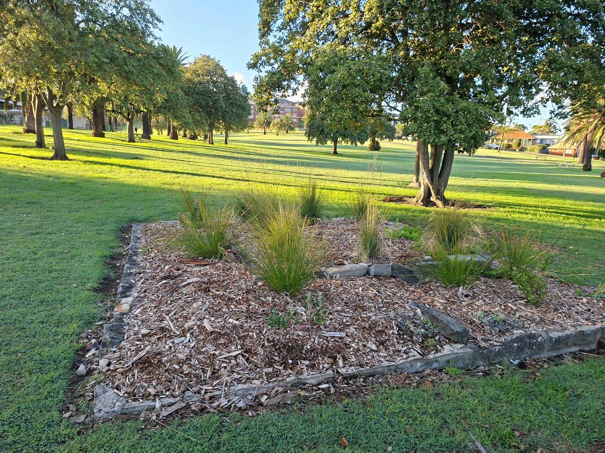 Nesca Park