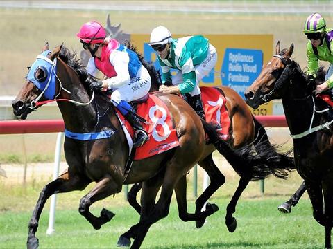 Merimbula Cup Race Day