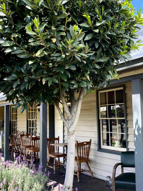 Lochiel House Restaurant