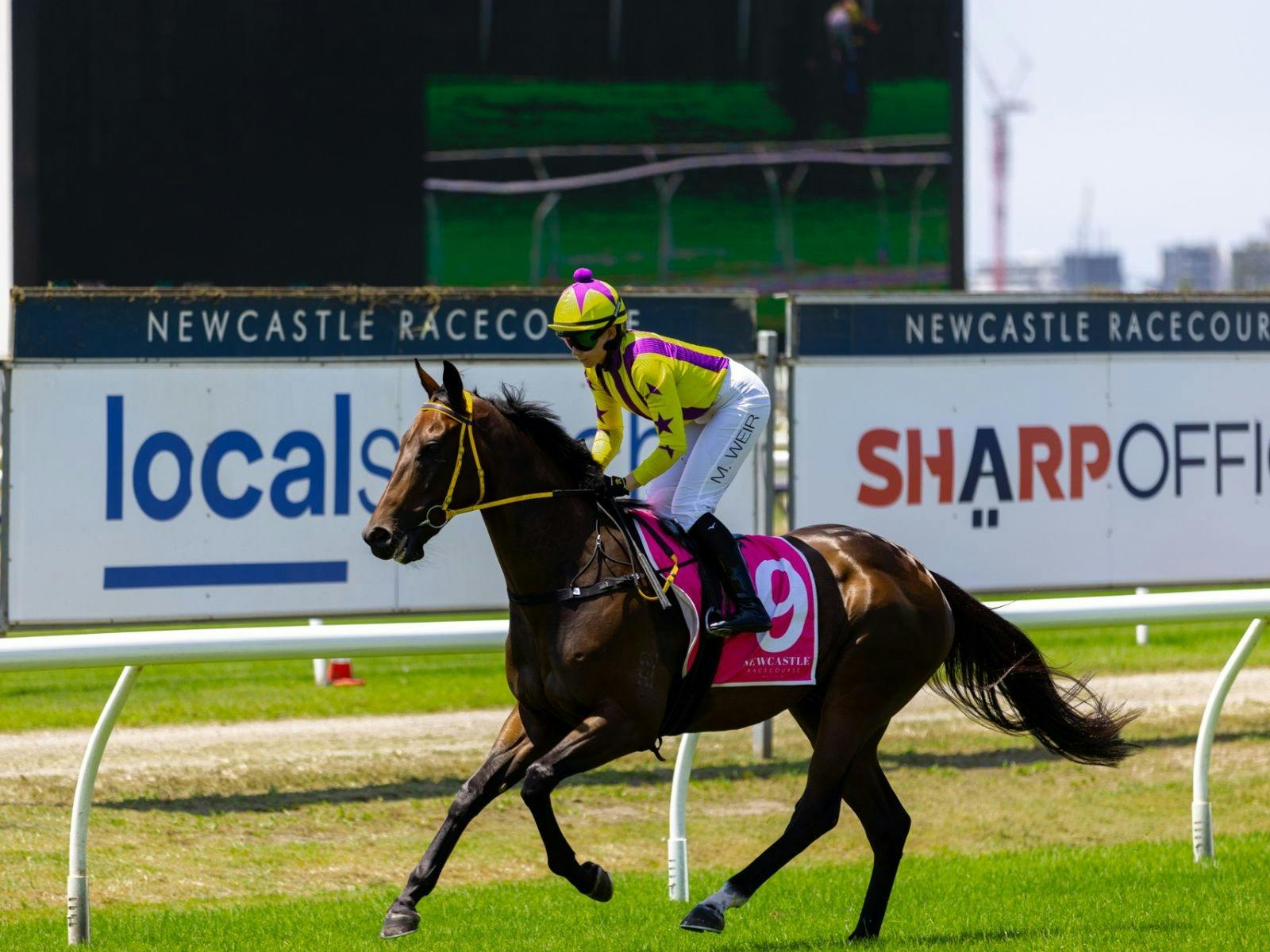 Racing at Newcastle Racecourse