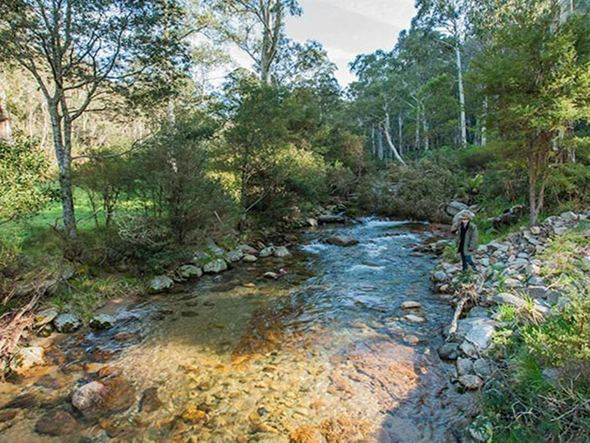 Leatherbarrel Creek picnic area, Kosciuszko National Park. Photo: Murray Vanderveer © DPIE