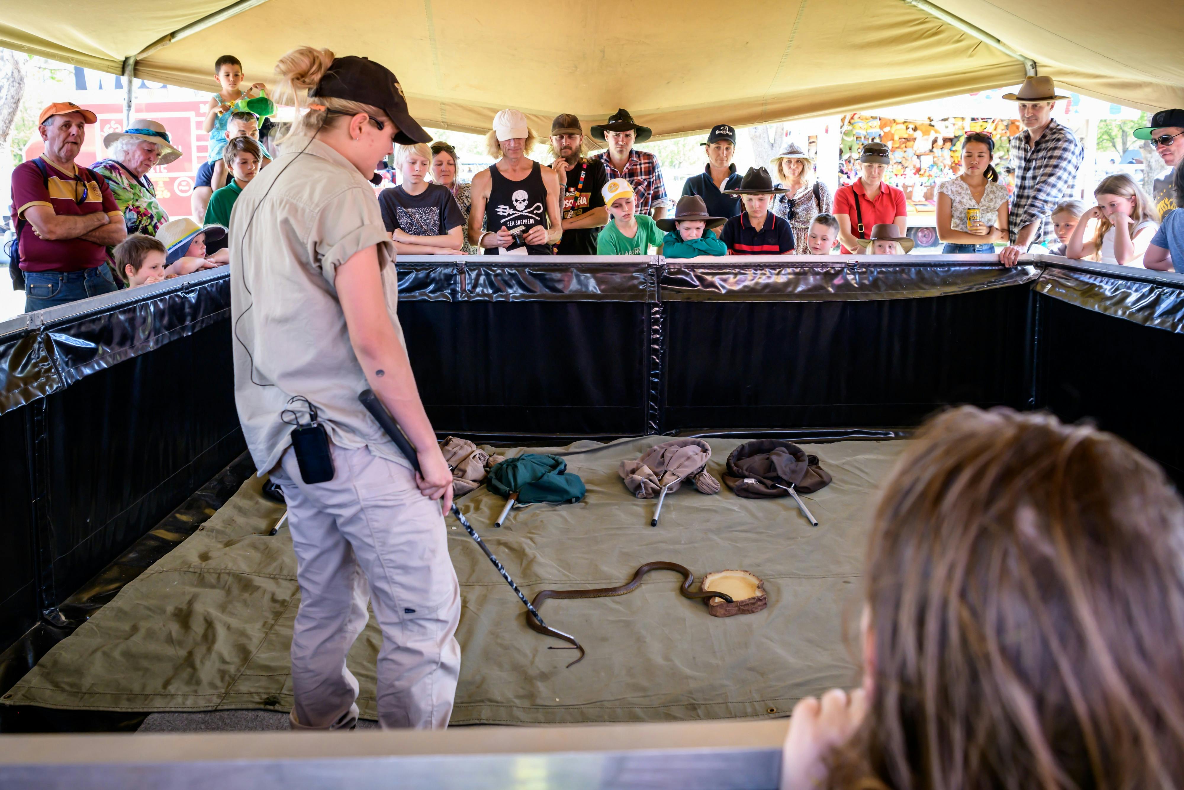 Wildlife Twins Reptile Show