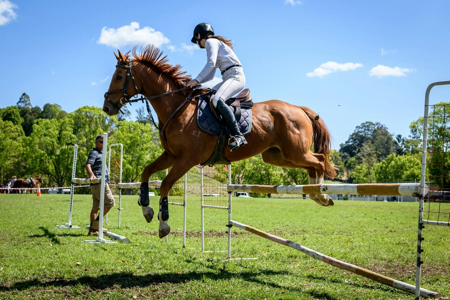 Nimbin Show Horse Jumping