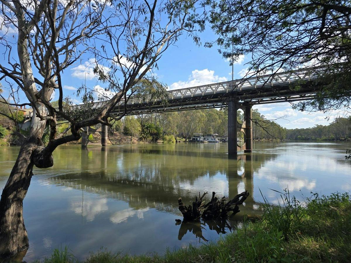 Bridge