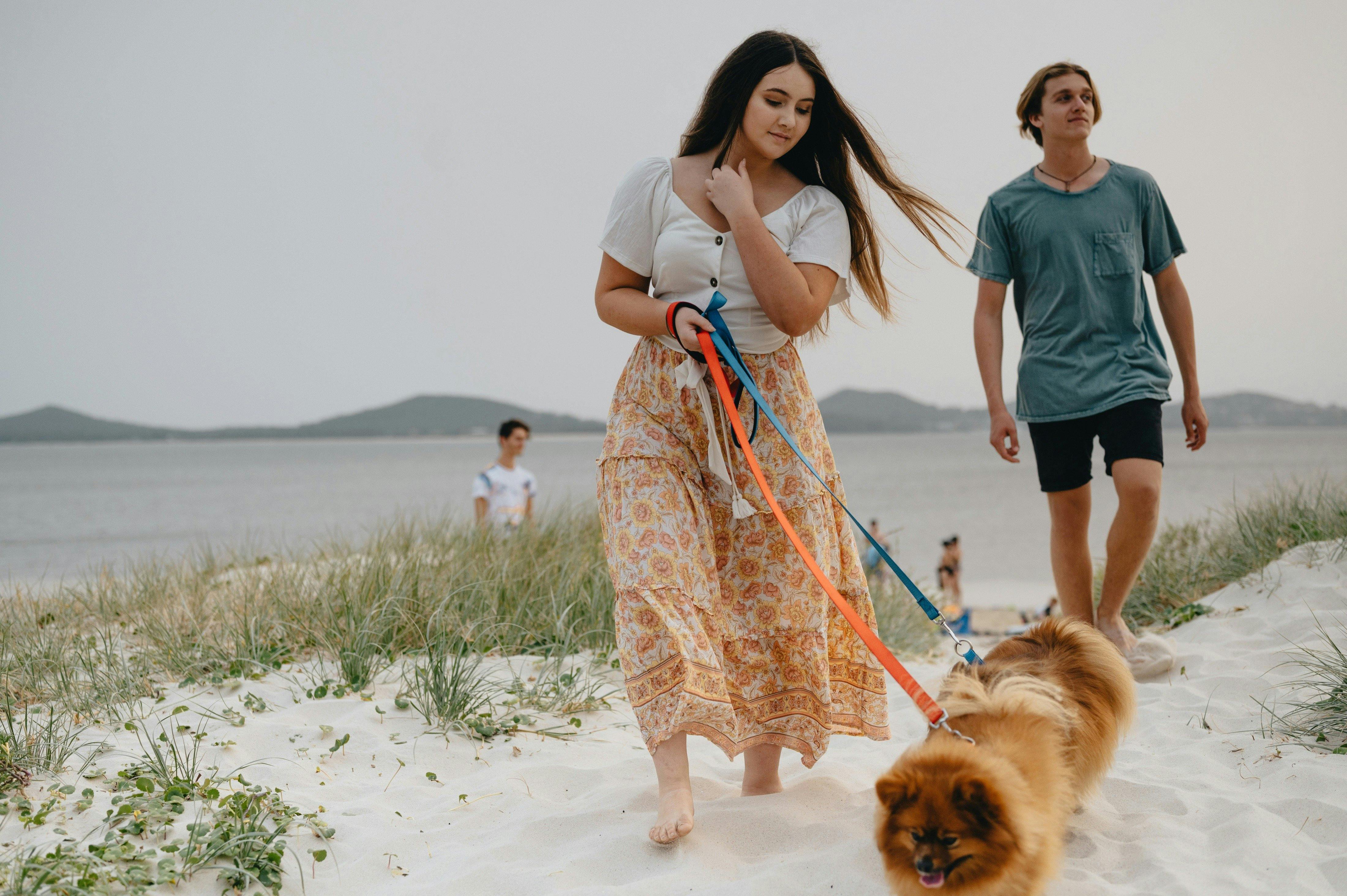 Reflections North Haven