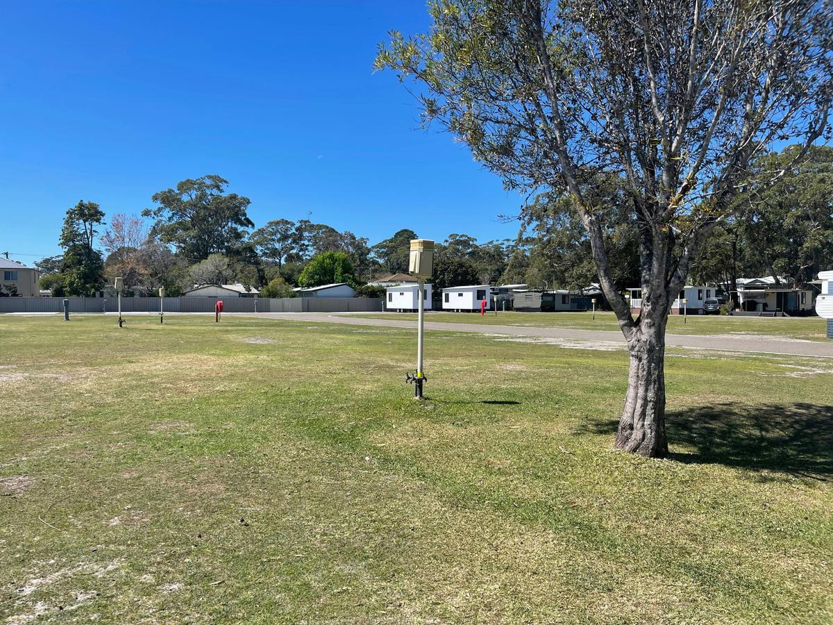 Spacious Camp sites