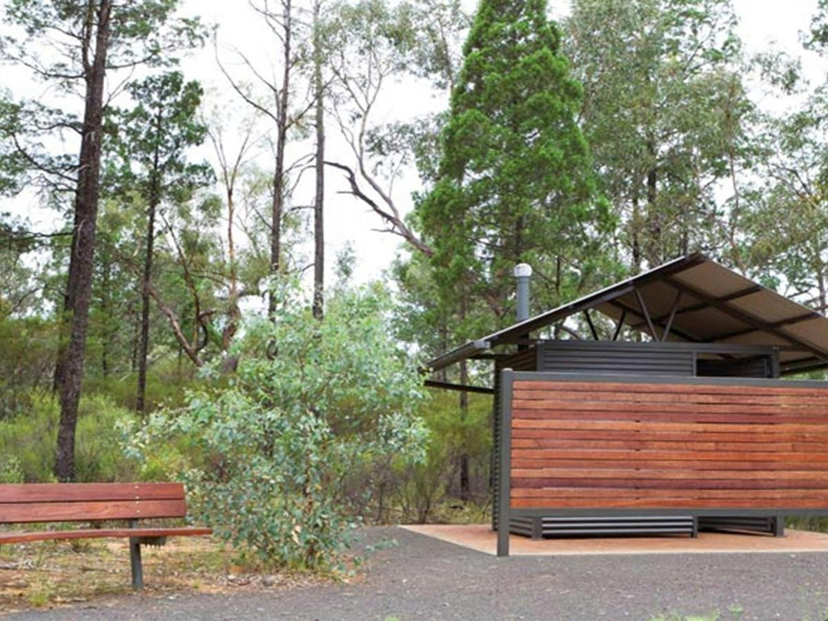 Sculpture in the Scrub campground, Timmallallie National Park. Photo: Rob Cleary/DPIE
