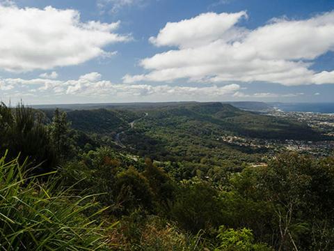 Illawarra Escarpment State Conservation Area
