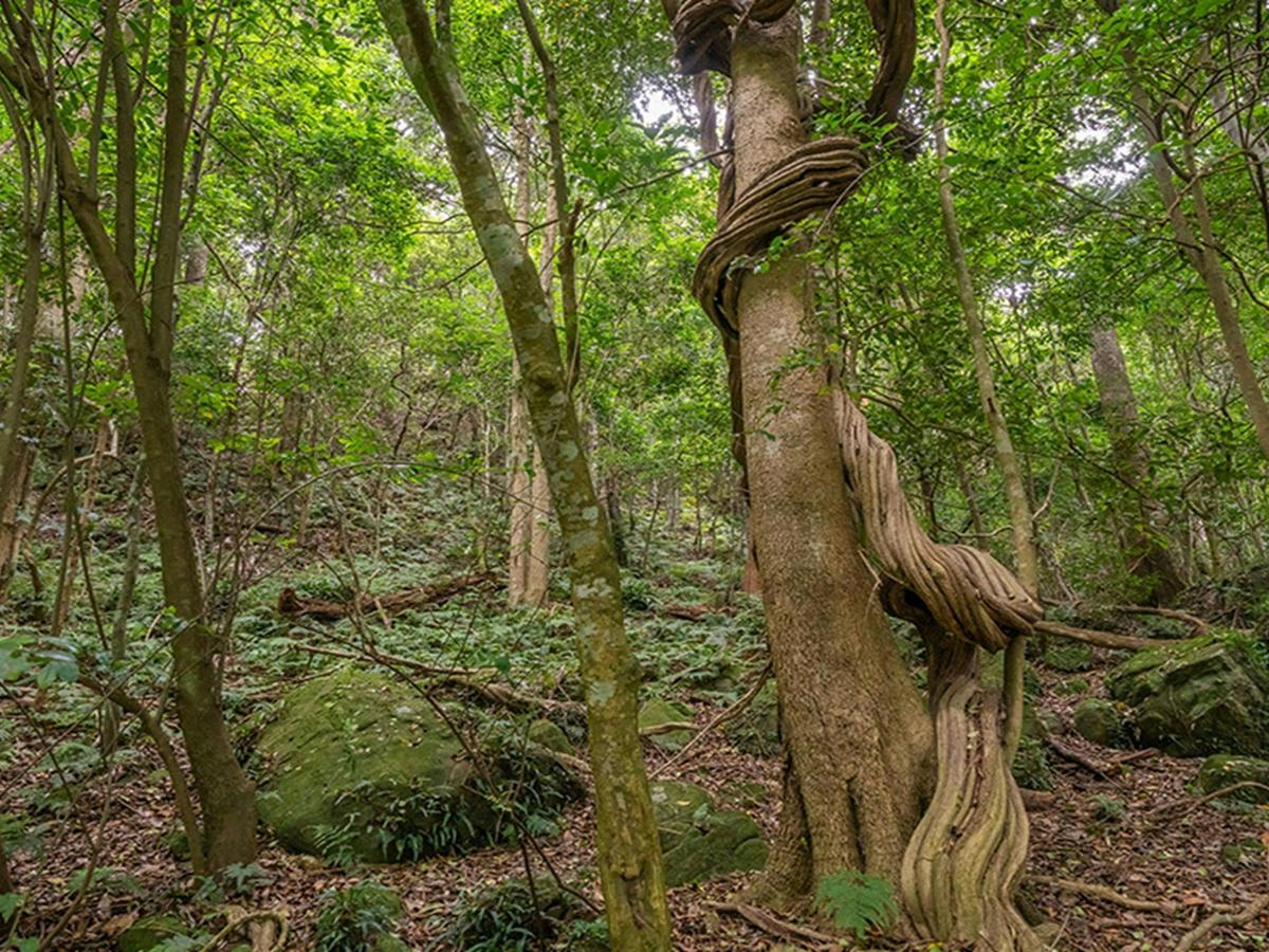 Illawarra Escarpment State Conservation Area