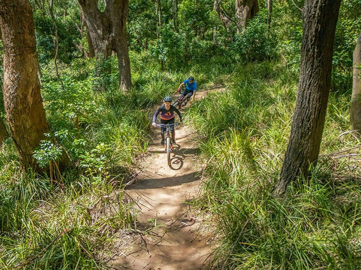 Illawarra Escarpment State Conservation Area
