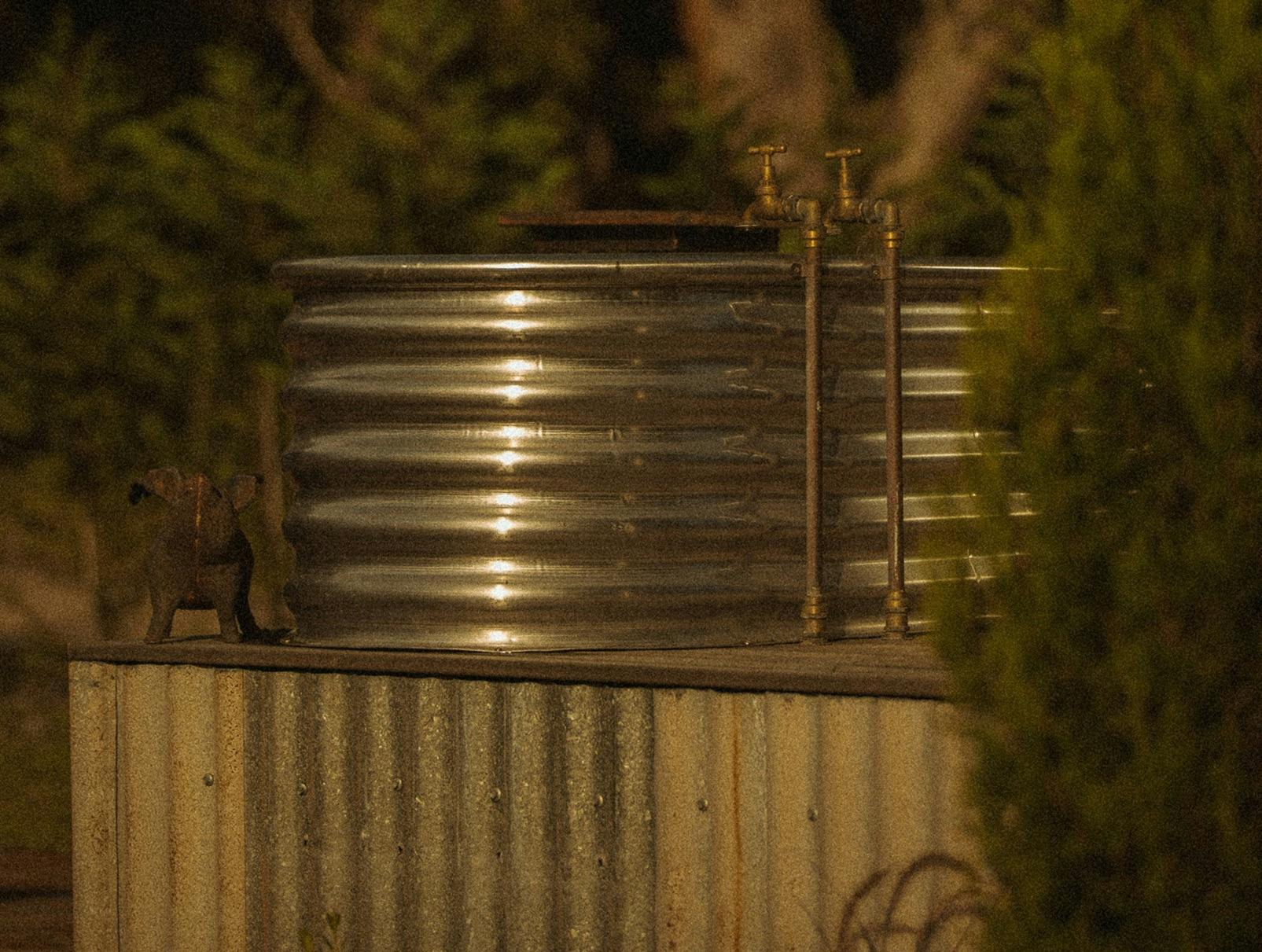 Sally the Skywatcher at B Farm by Murrays