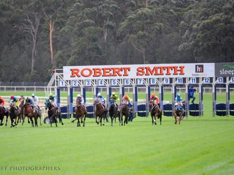 South Coast Timber Eden Cup Race Day