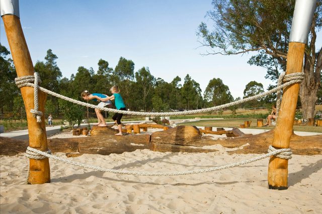 Lizard Log Zig Zag Track