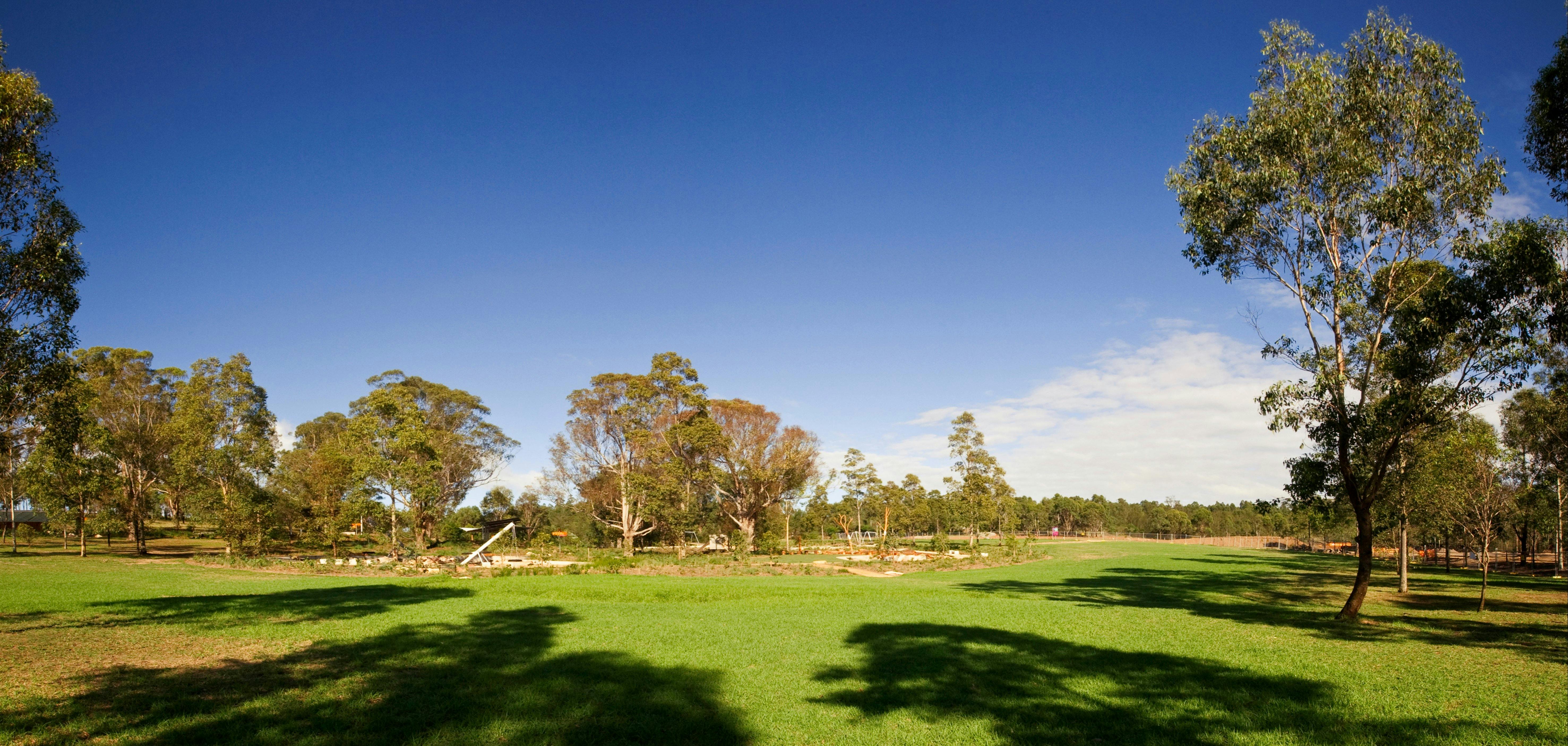 Lizard Log in Western Sydney Parklands