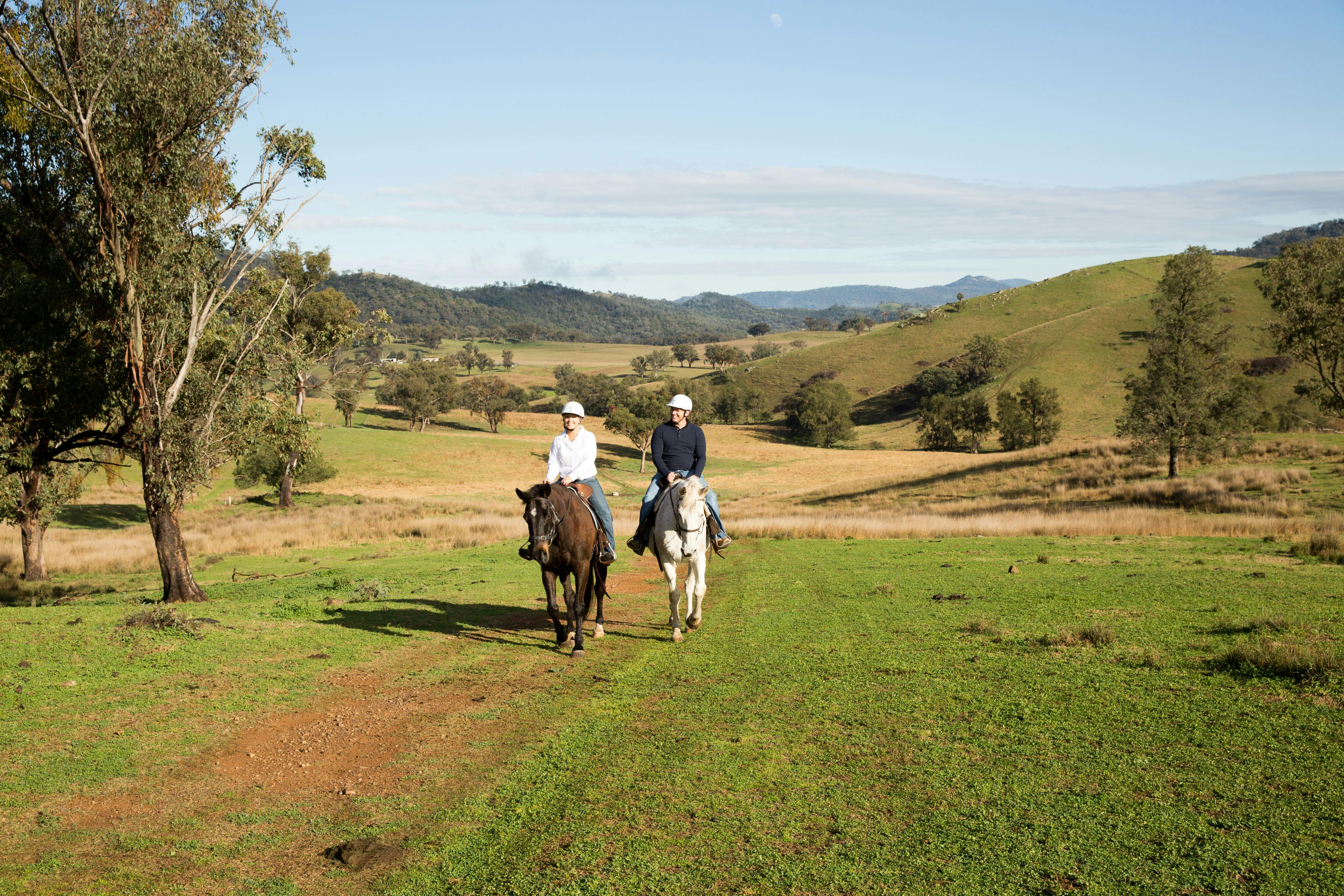 Tamworth and Kootingal Horse Riding Adventures