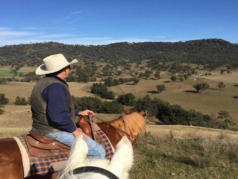 Tamworth and Kootingal Horse Riding Adventures