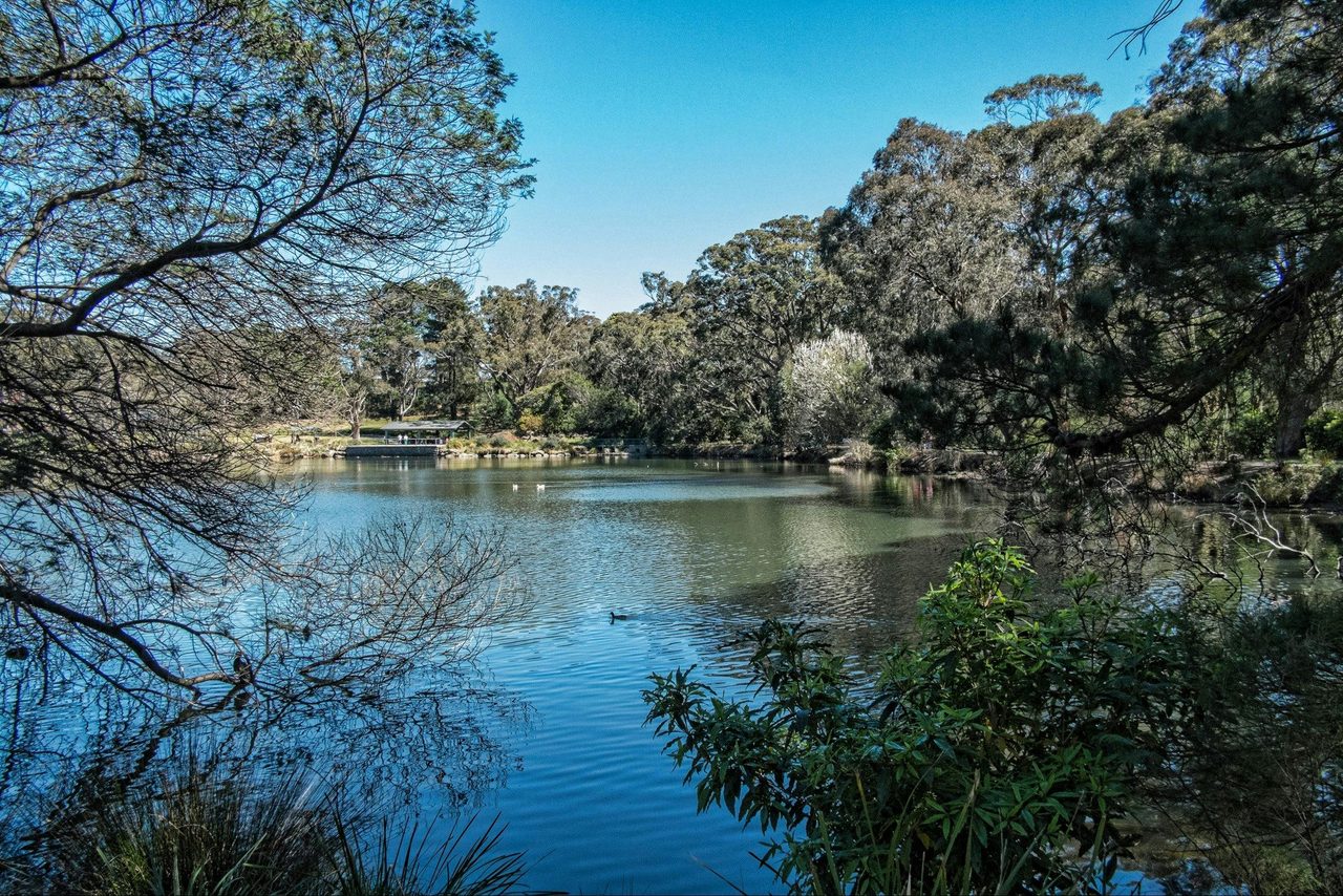 Lake Alexandra