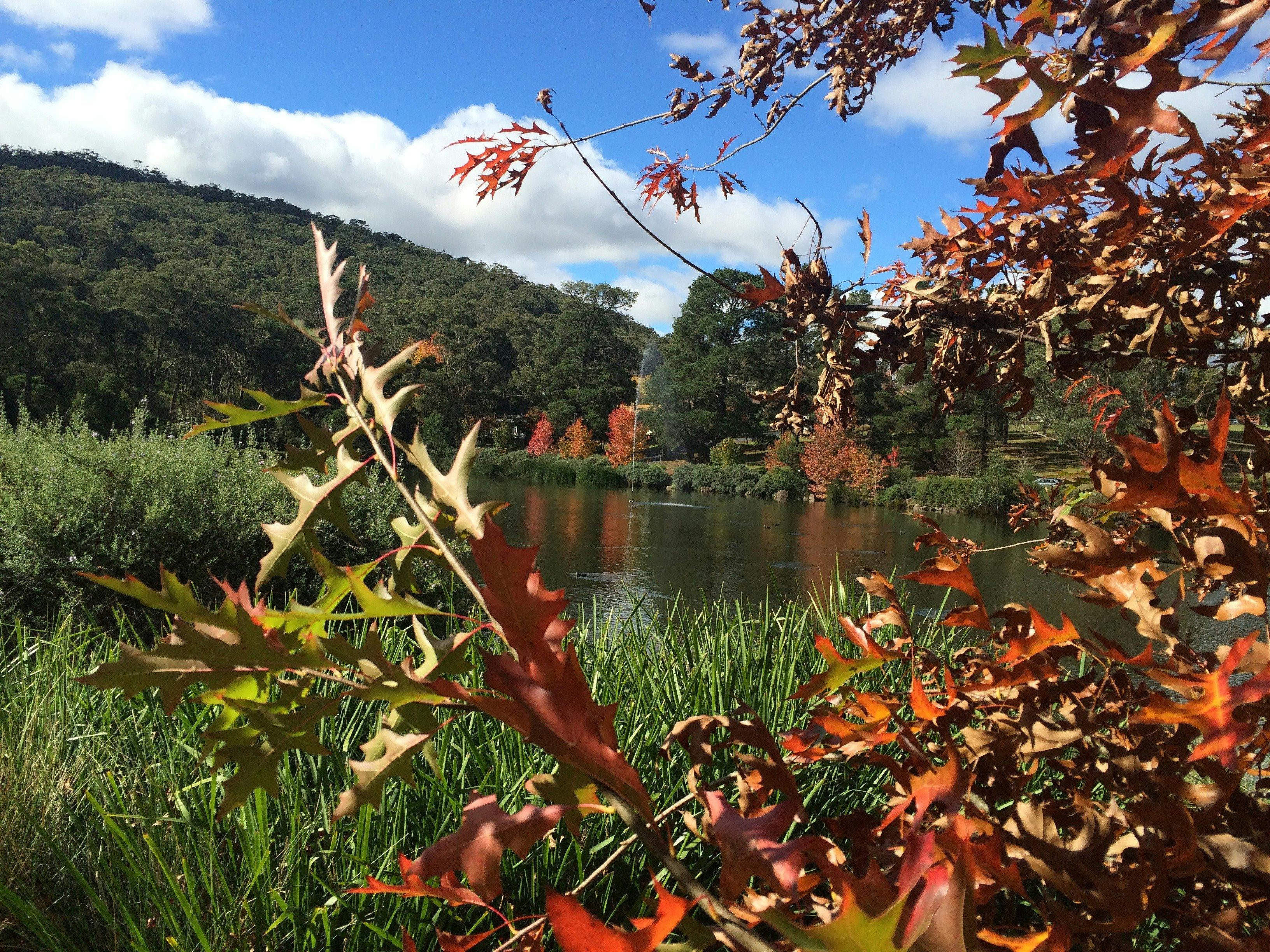 Lake Alexandra - Mittagong
