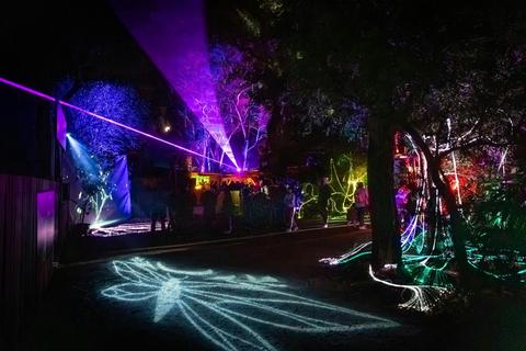 The Enchanted Sanctuary