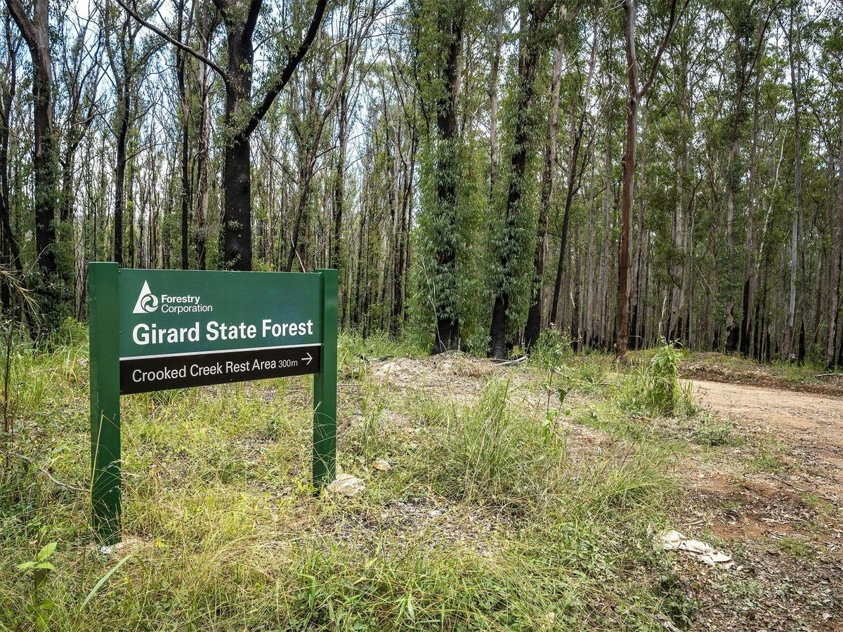 Girard Forest