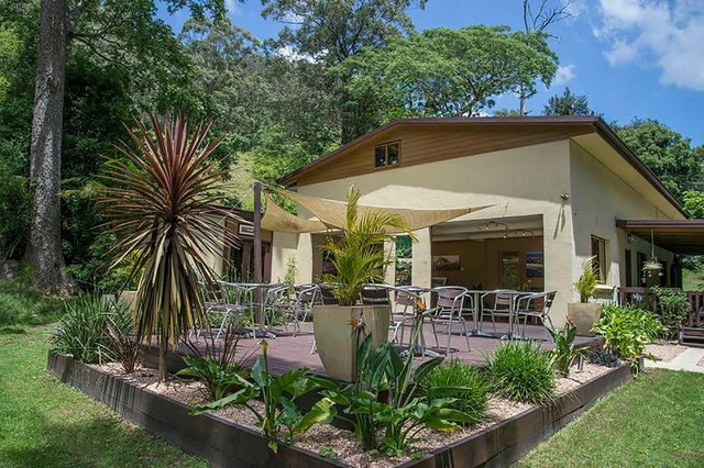 Kramer Photography Rainforest Gallery