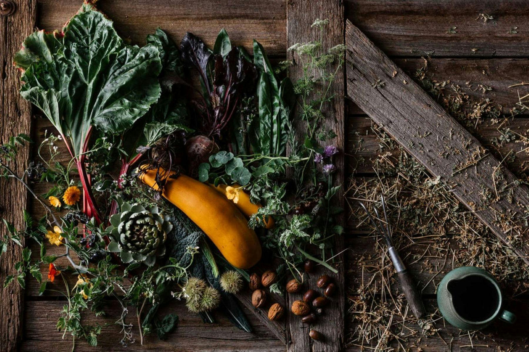 The Shearers Quarters at Essington Park