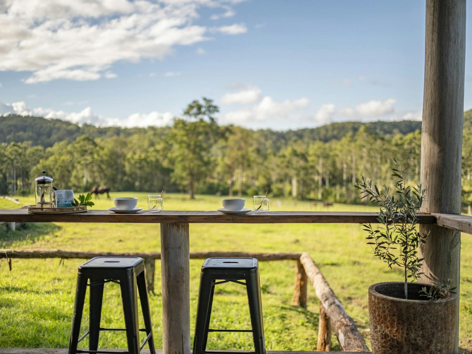 Verandah coffee view at The Hitching Rail Hut, Coramba NSW near Coffs Harbour