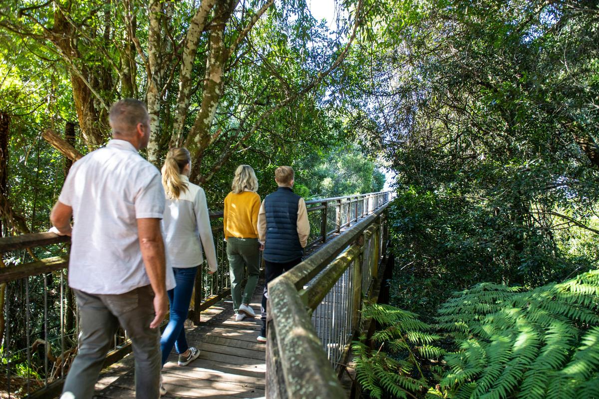 Dorrigo National Park, Dorrigo Mountain