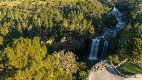 Dangar Falls, Dorrigo
