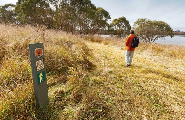 Lagoon Circuit Walking Track