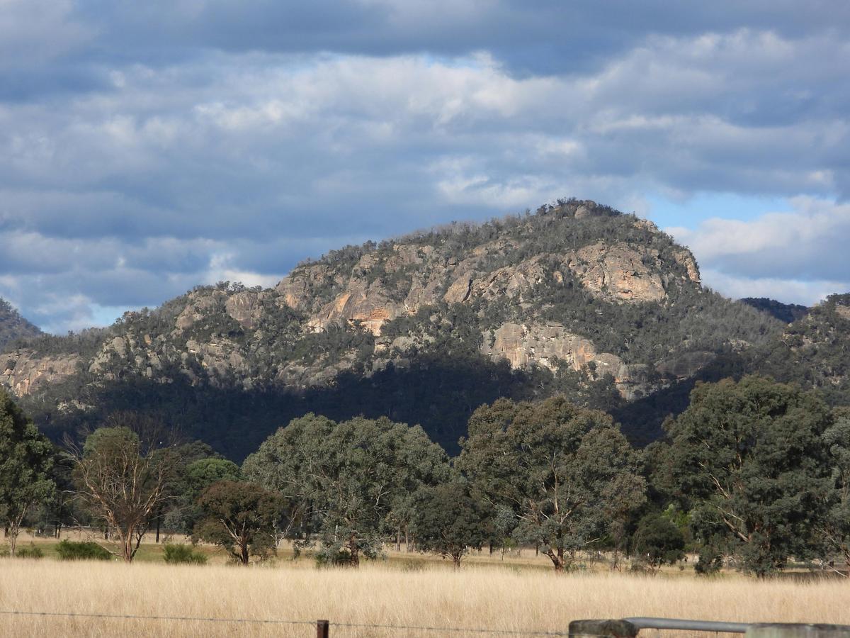 View from Songlark Studio