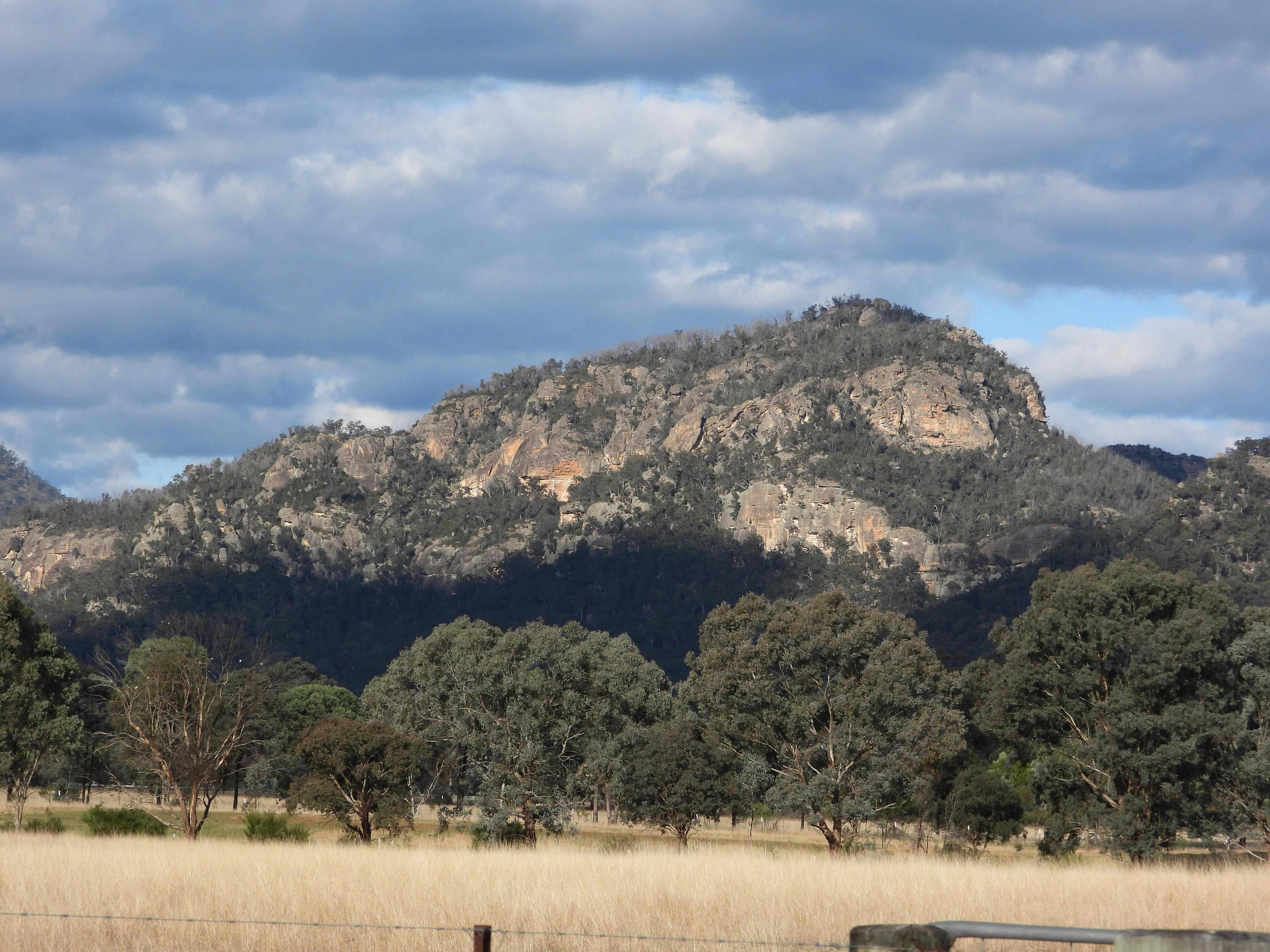 View from Songlark Studio