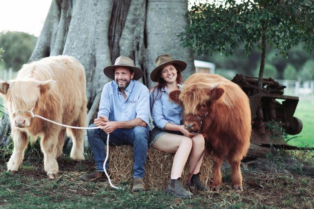 Koolah Creek Highlands