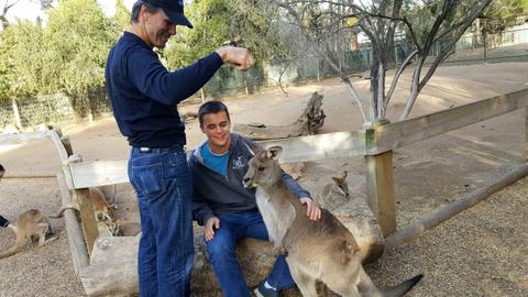 Get up close to Kangaroo's, Koala's and Wallabies at Featherdale Wildlife Park