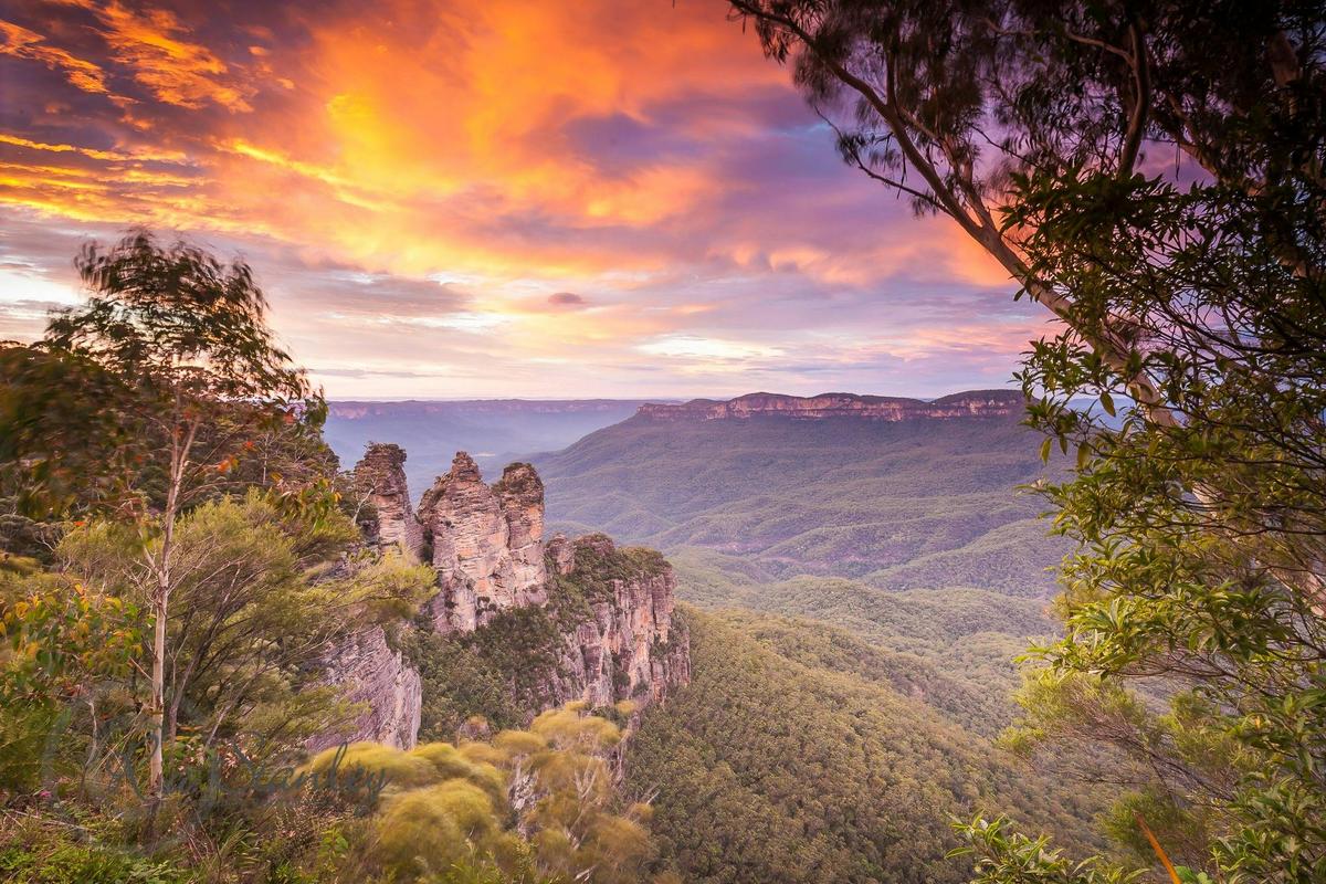 Blue Mountains Private Day Tours