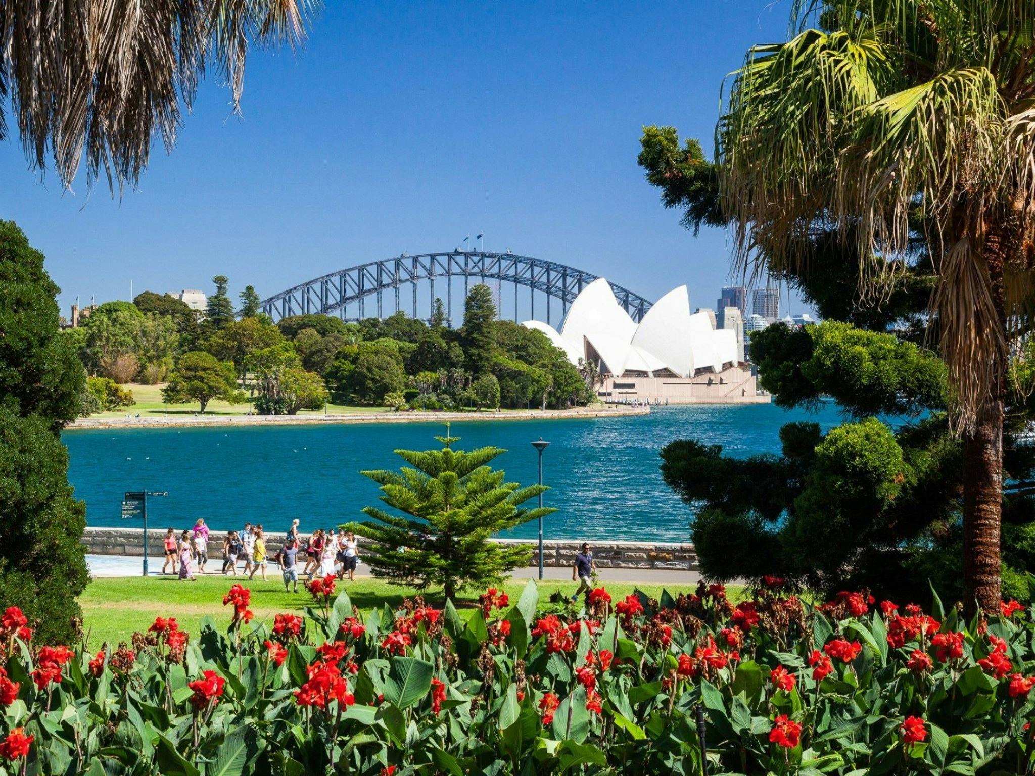 Sydney Harbour Bridge and Sydney Opera House viewed from Royal Botanic Gardens